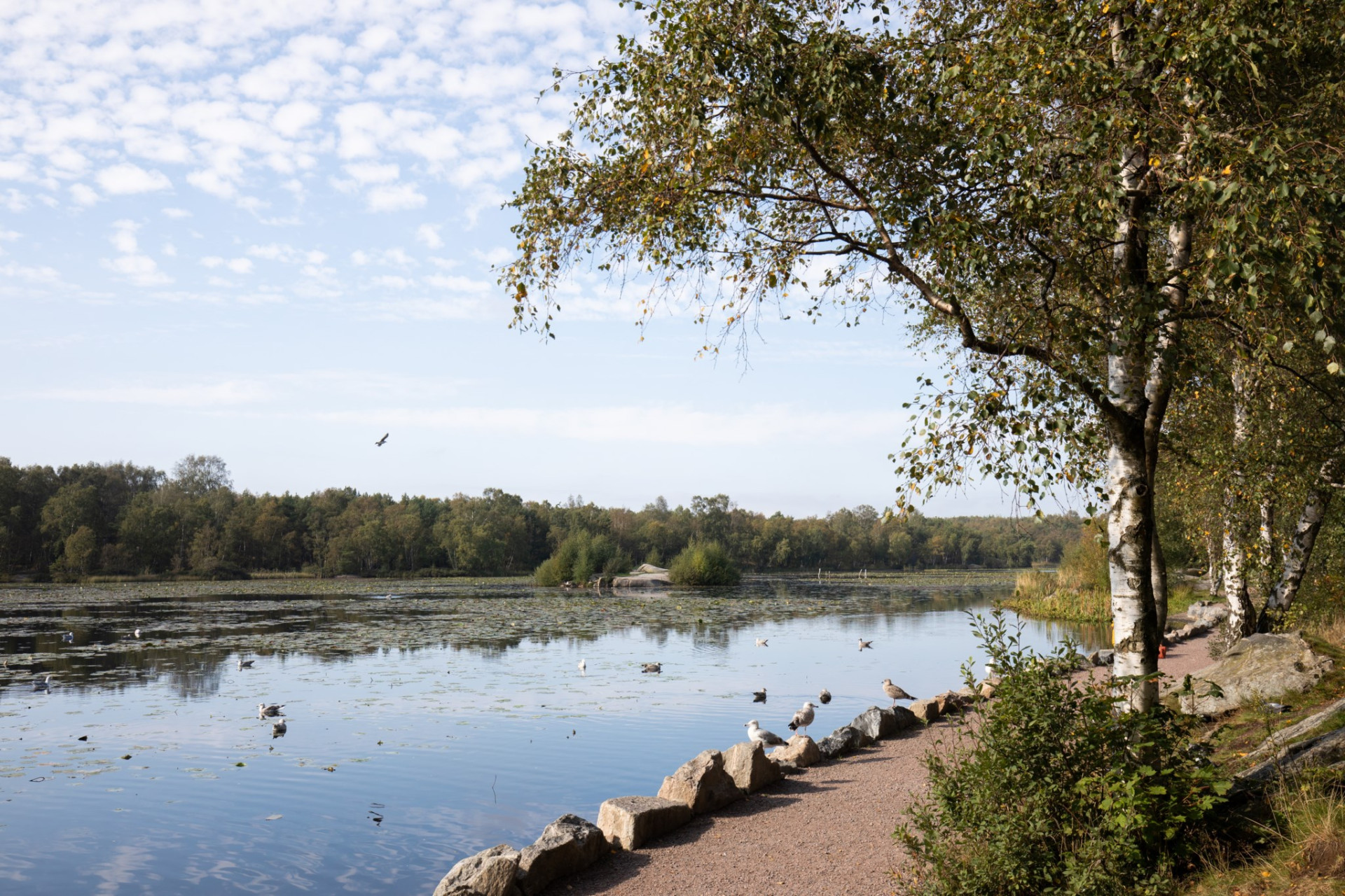  Önskevädersgatan 37-23