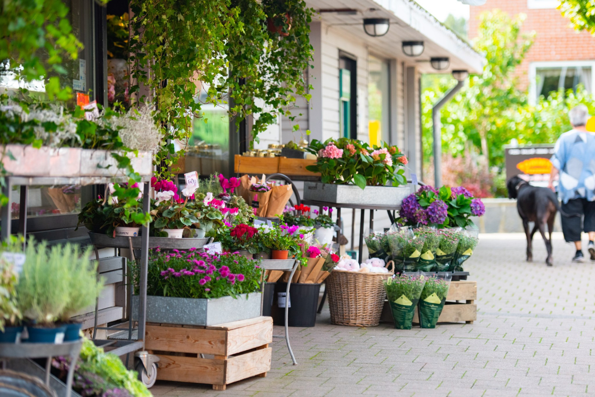  Trolldalsvägen 4-45