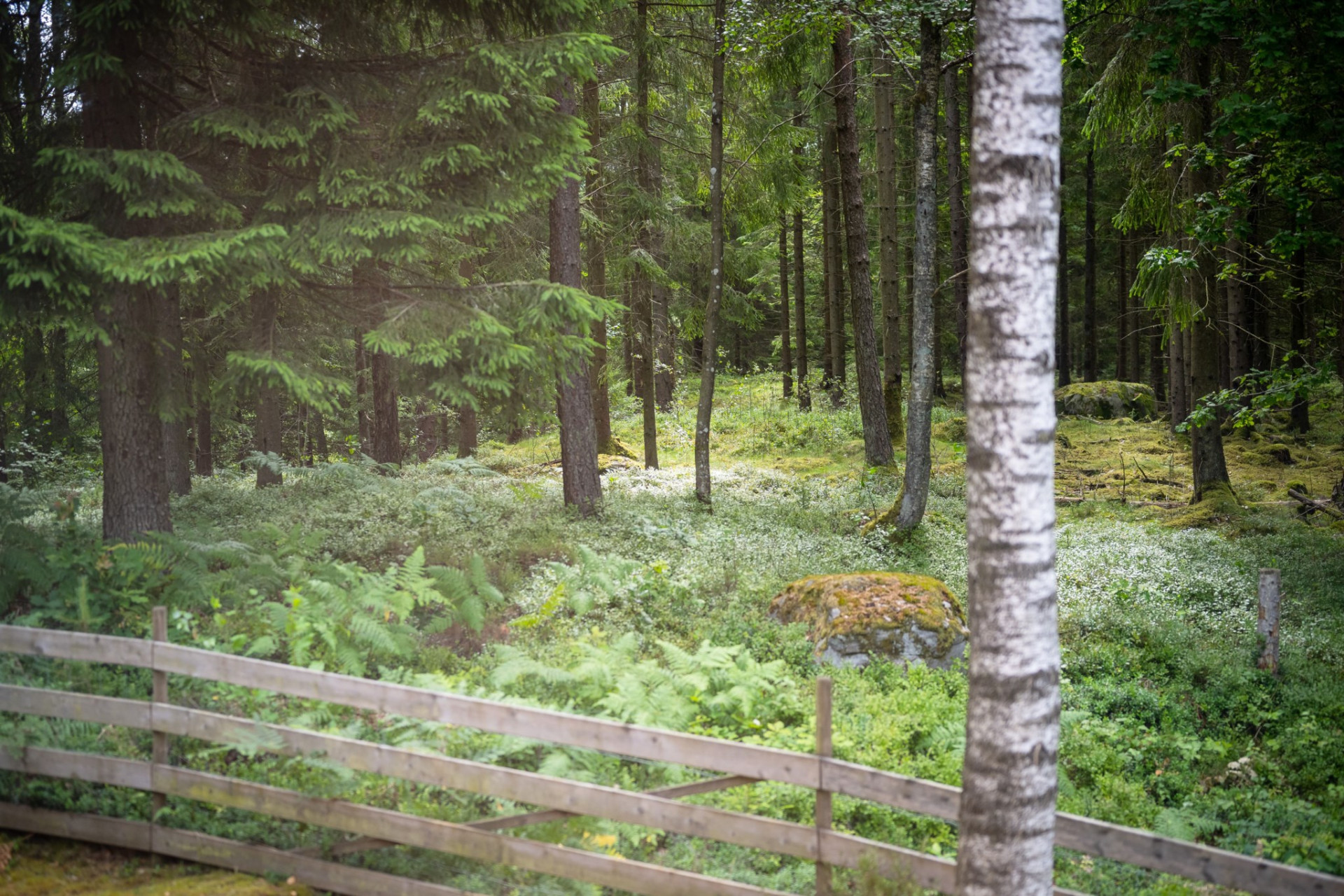  Björkkullevägen 6-36