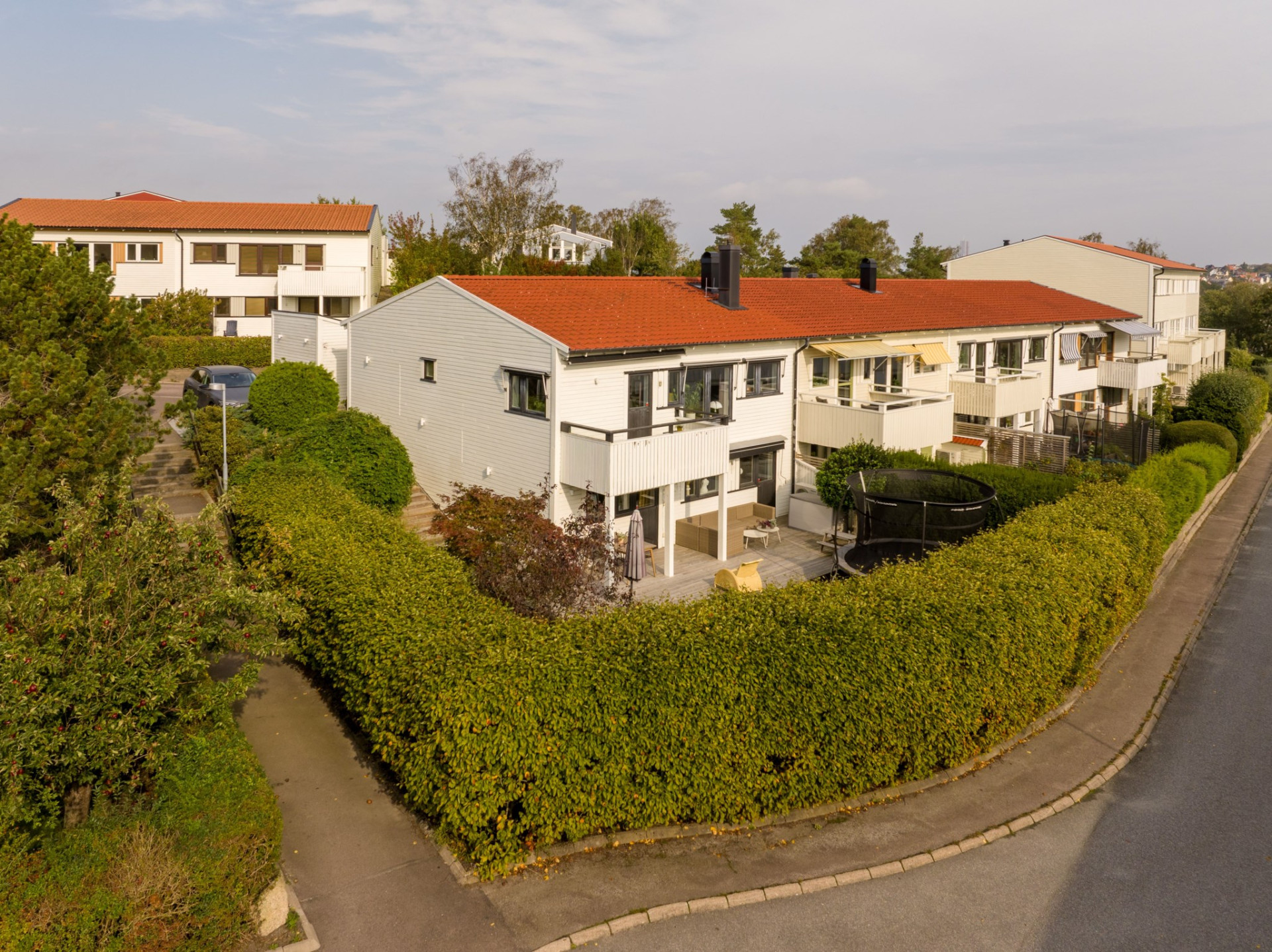  Berglärkan 83-36