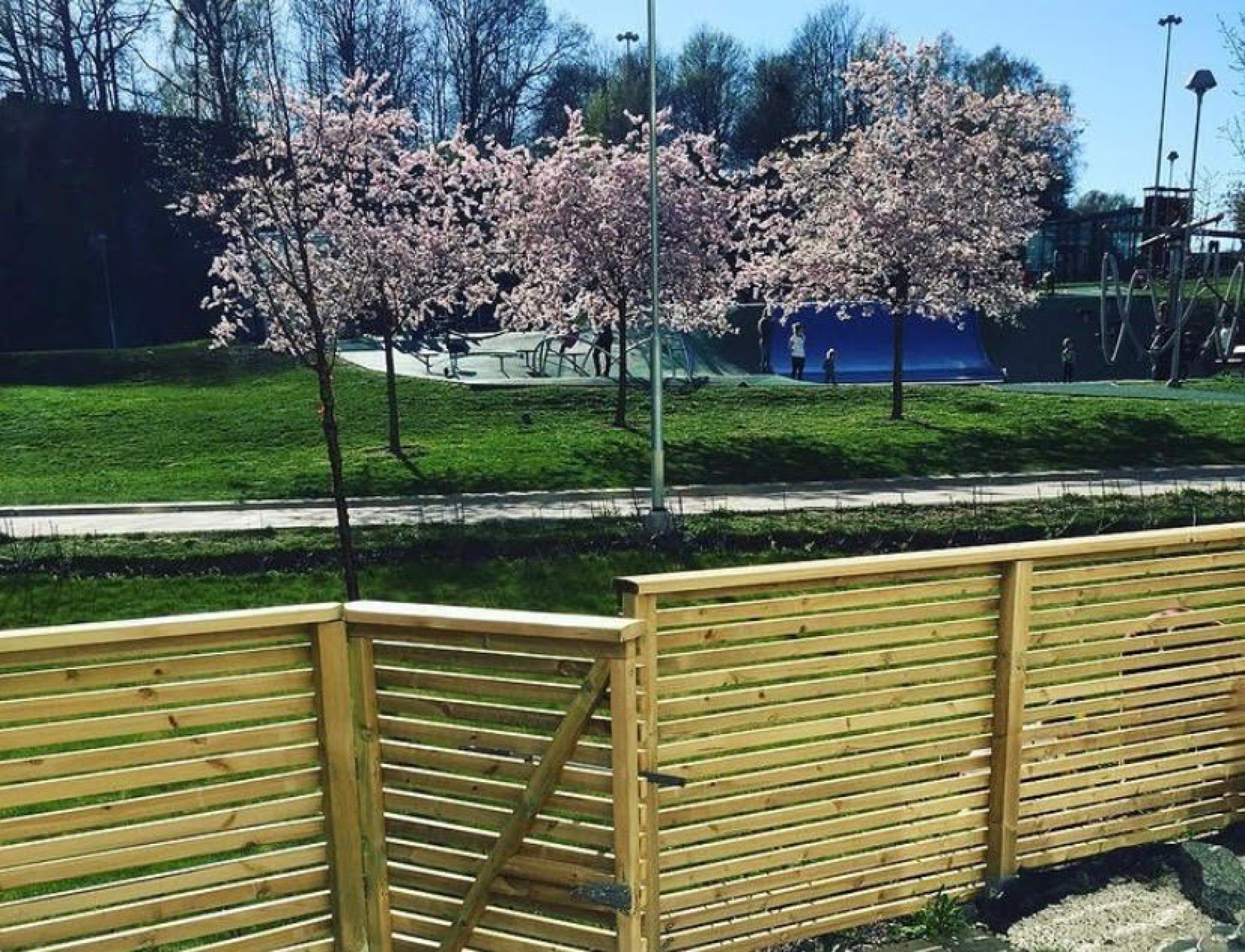 Säljarens bild Monsungatan 51-8